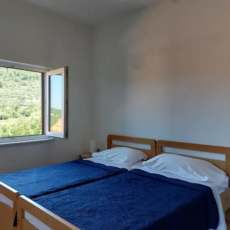 Androvic Guest house 2*