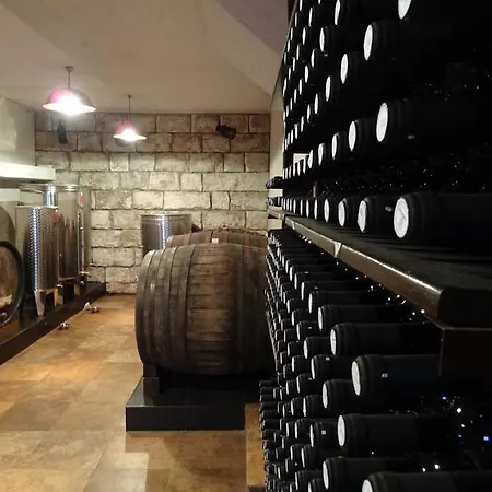 Androvic 3* ستون