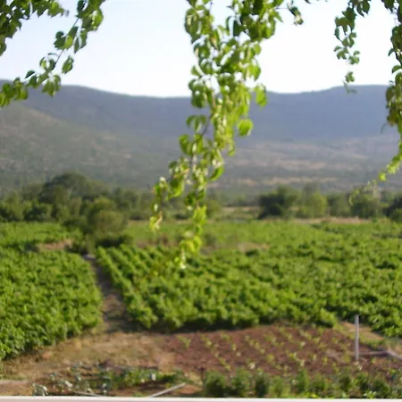 بيت ضيافة Androvic ستون